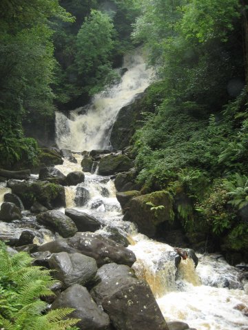 irland_019