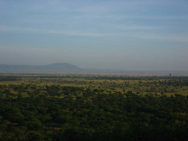 serengeti_35